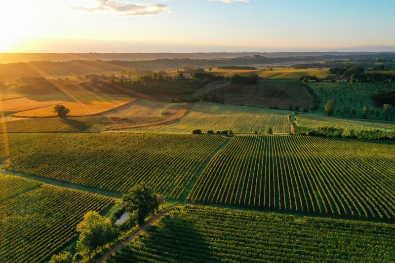 Copyright Arnaud Spani